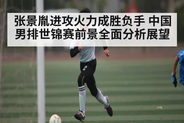 张景胤进攻火力成胜负手 中国男排世锦赛前景全面分析展望